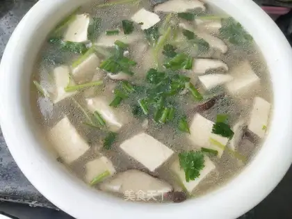 Sea turtle tofu soup