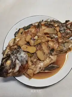 The crotch fish