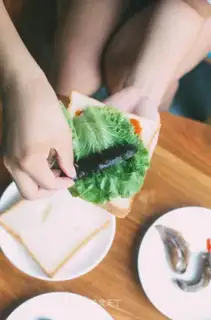 Sea cucumber sandwich