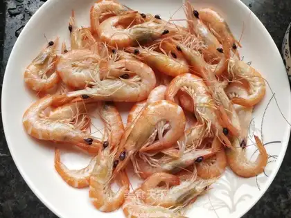 Shrimp