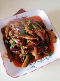 Red eggplant