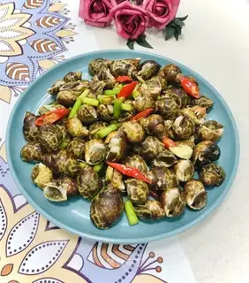 Snails