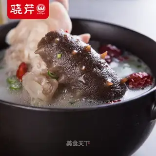 Sea cucumber chicken