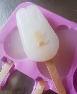 Homemade salt popsicle ice