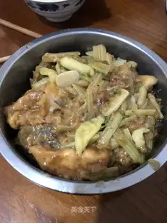 Squid fish