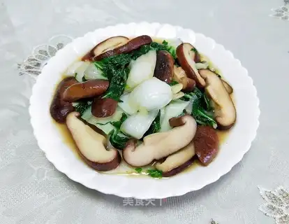 Beetle and mushrooms