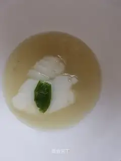 Snowfish