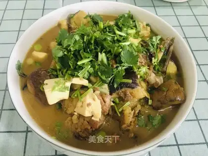 Wild catfish eggplant