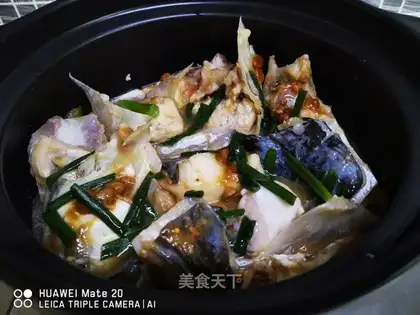 Coughfish head