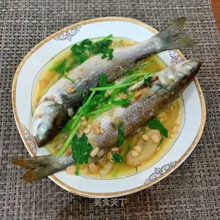 Fries of fish
