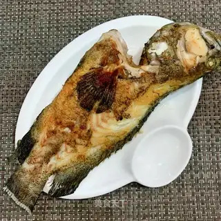 Fried Tiger Specs