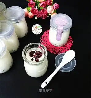 Homemade cranberry yogurt