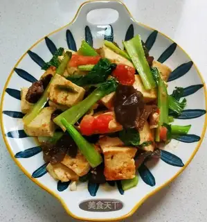 Tofu with tomatoes