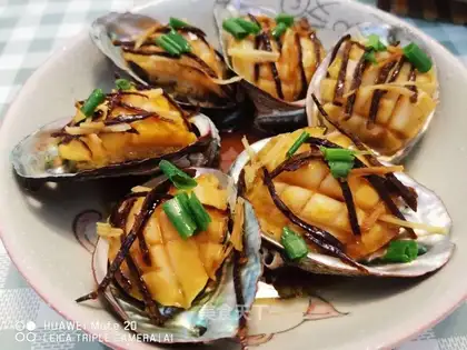Abalone