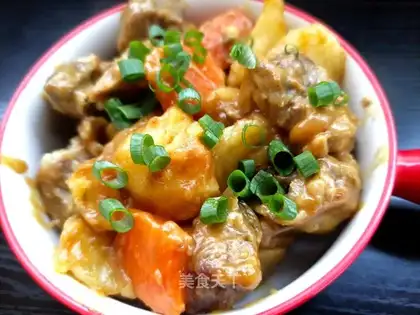 Curtain ribs