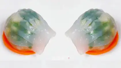 Crystal dumplings