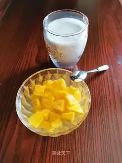 The yogurt