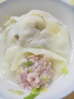 Cabbage