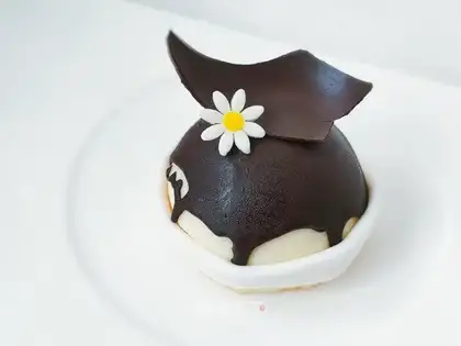 Chocolate Moose