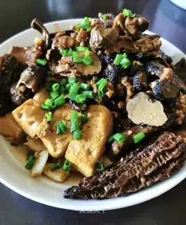 The fungus tofu