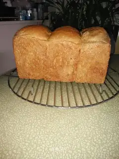 A soft girl with all the wheat toast