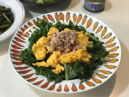 Tuna vegetable salad
