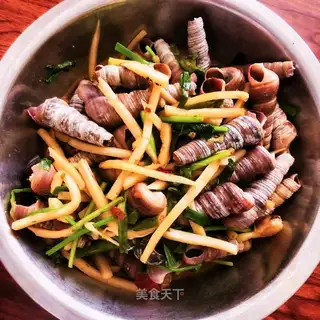 Sour kite conch