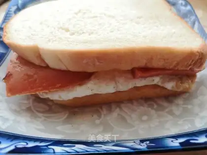 A simple sandwich