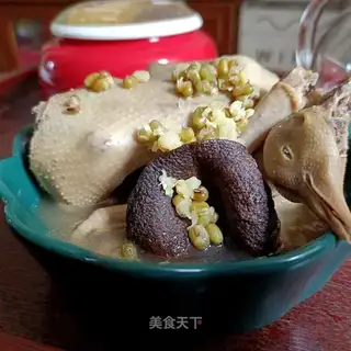 Pumpy green dove soup