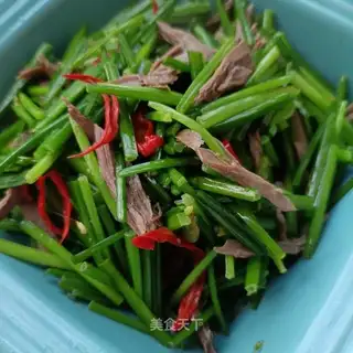 Dove's chest fried moss