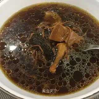 The mushroom pigeon