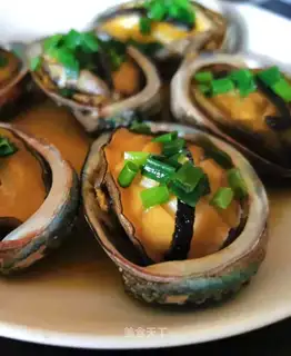 Abalone