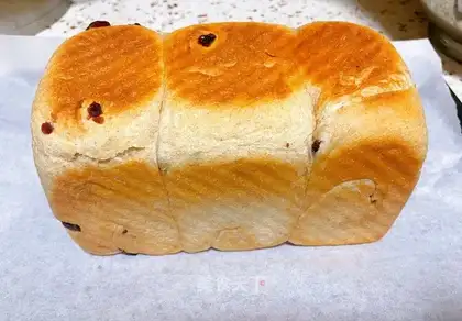 All wheat cranberry bread