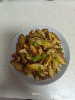 Ridiculous mushrooms
