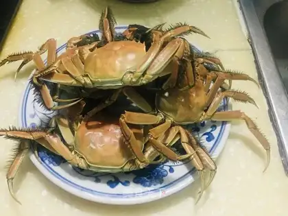 Steam crabs