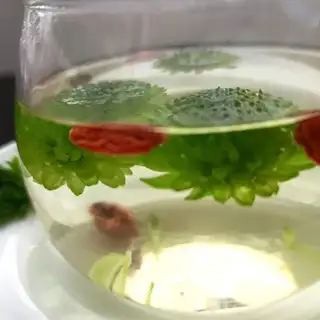 Lotus heart tea