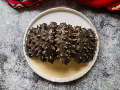 Bubble sea cucumber