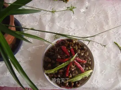 Spicy field snail
