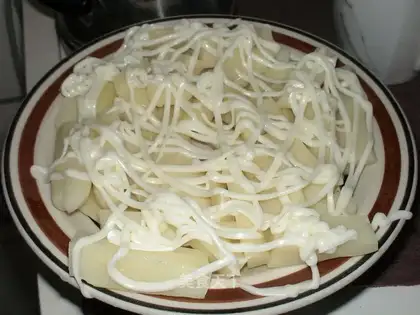 Salad white bamboo shoots