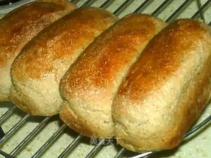 whole wheat bread