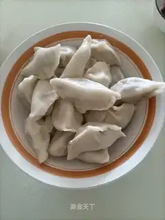 Beef onion dumplings