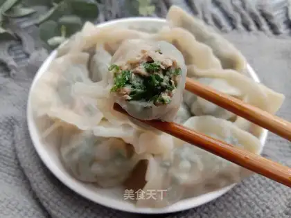 The dumplings