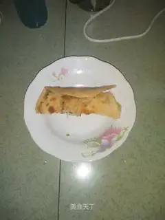 Tofu onion burrito