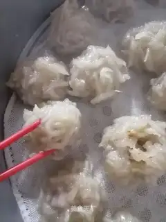Vagina