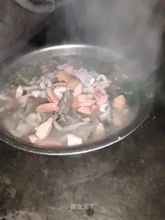 Cream of intestinal mushroom soup