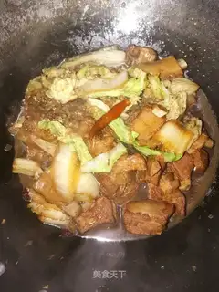 Cabbage