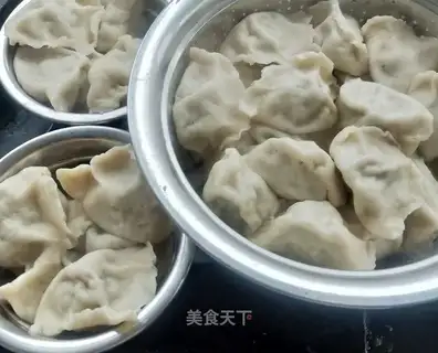 The dumplings
