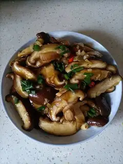 Ridiculous mushrooms