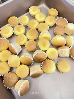 Minicake
