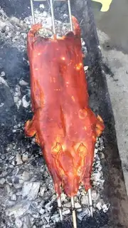 The whole pig